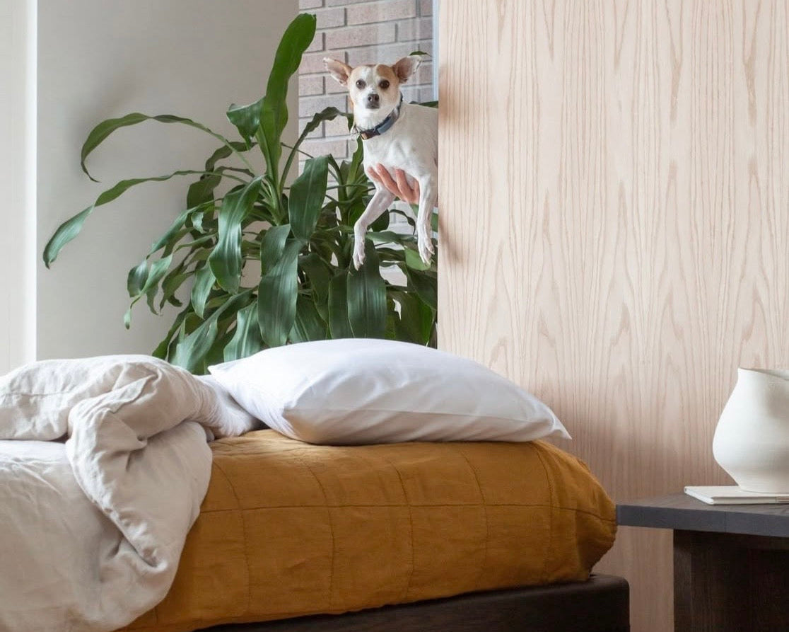 Your Best Friend's Bed