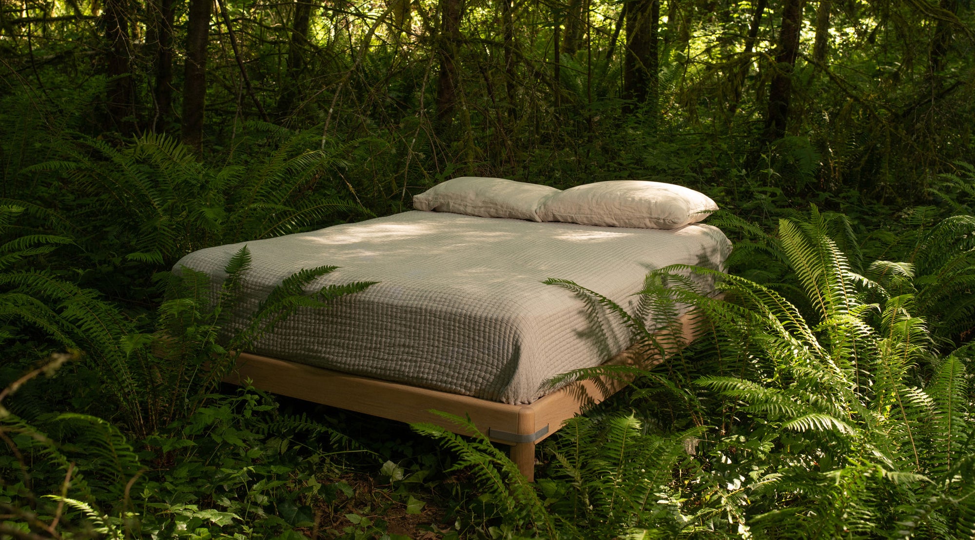 Keeps Bed in Forest